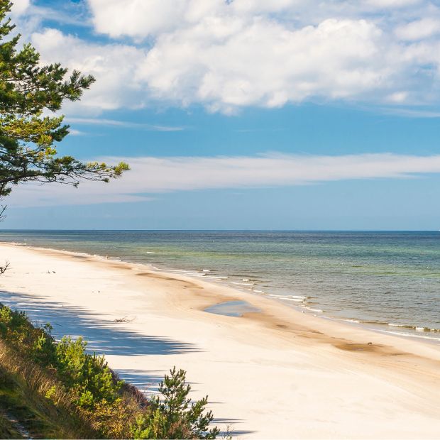 Apartamenty Sarbinowo – plaża i morze blisko obiektu Stay at Sarbinowo